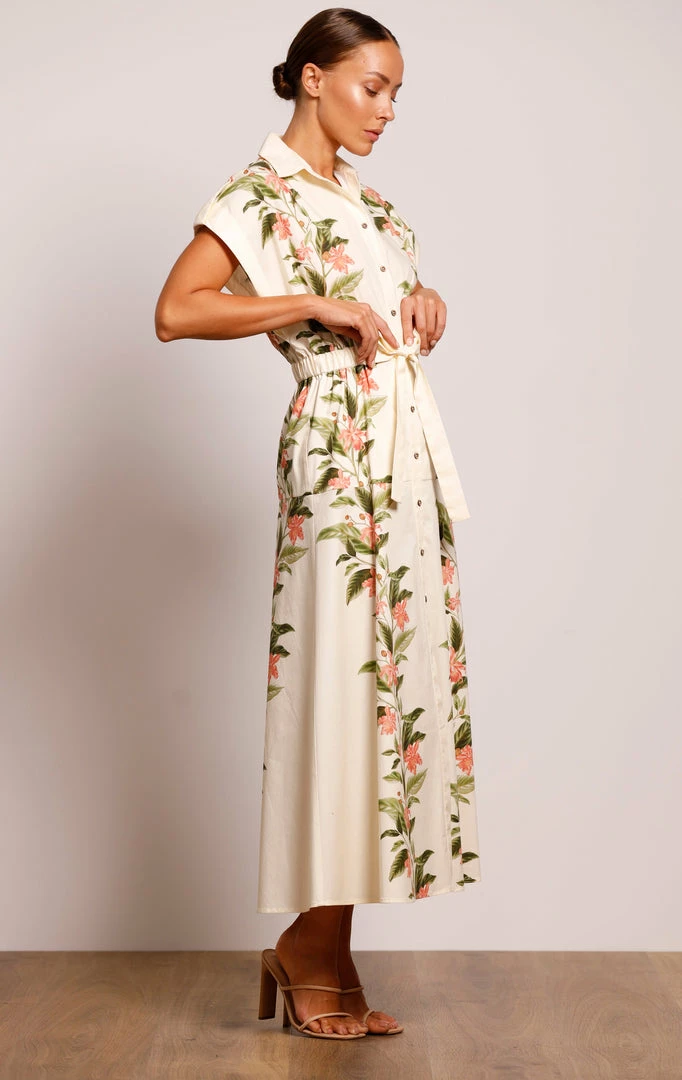 Pasduchas DRESSES Sanctuary Shirt Midi Dress - Ivory 4 Pasduchas DRESSES Sanctuary Shirt Midi Dress - Ivory