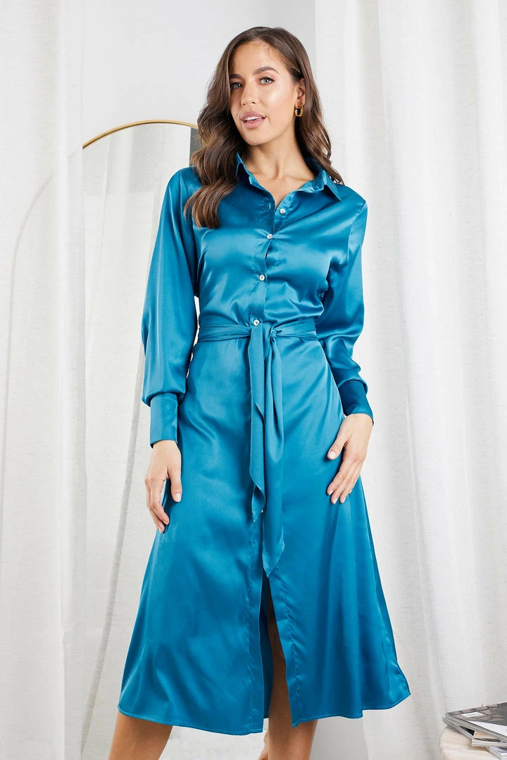 Wild Ginger Pitty Dress - Blue 6 Wild Ginger Pitty Dress - Blue