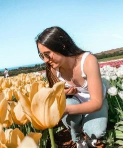 Style Box Ampla Top - White CLOTHING